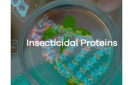 Lifeasible Updated Its Offerings for Insecticidal Proteins