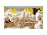 The Top 9 Benefits of Best ERP Software for Poultry Business