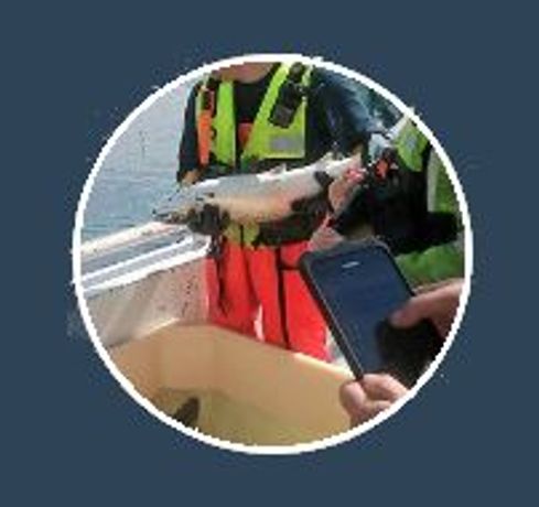 Anteo FishCtrl - Fish Wellfare Data Analytical Tool