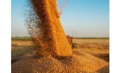 Grain Producer and Trader Services