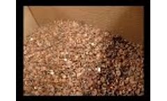 Hazelnut Shelling Process, Small Hazelnut Shelling Cracking Machine - Video