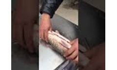 Commercial Fish Scale Remover, Industrial Fish Processing - Video
