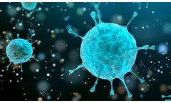 Creative Biolabs Upgrades Oncolytic Virus Product List for Immunotherapy Research