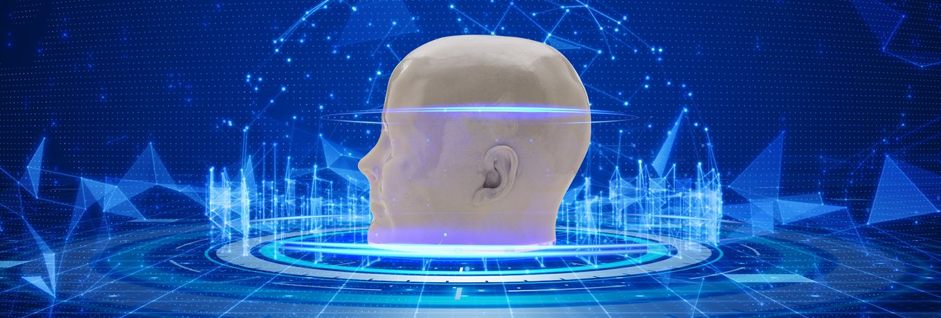 Encephalon - Model 3D - 3D Single-use Head Phantom