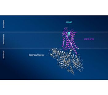 Confo - G Protein-Coupled Receptors (GPCRs)  Technology