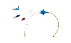 Bactiguard - Model BIP - Central Venous Catheter (CVC)