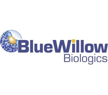 BlueWillow - Herpes Simplex Virus-2 Vaccine  (HSV-2)