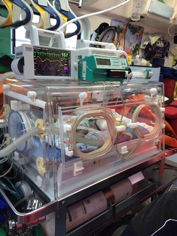 Transport Incubator-1