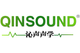 Guangzhou QinSound Acoustics Technology Co., Ltd.