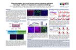 Characterization of a Novel Human Primary Intestinal Epithelial Monolayer Platform in Response to Cytokine Challenge (Poster) - Brochure