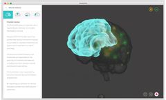 Emotiv - Version BrainViz - Real-Time 3D Brain Visualization Software