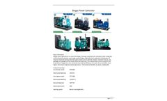 Mingshuo - Model HF200NG - Biogas Power Generator - Brochure