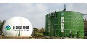 Large-Scale Biogas Plant for Organic Waste Treatment