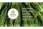 Root-Zone Temperature Optimization Technology for Chives - Brochure