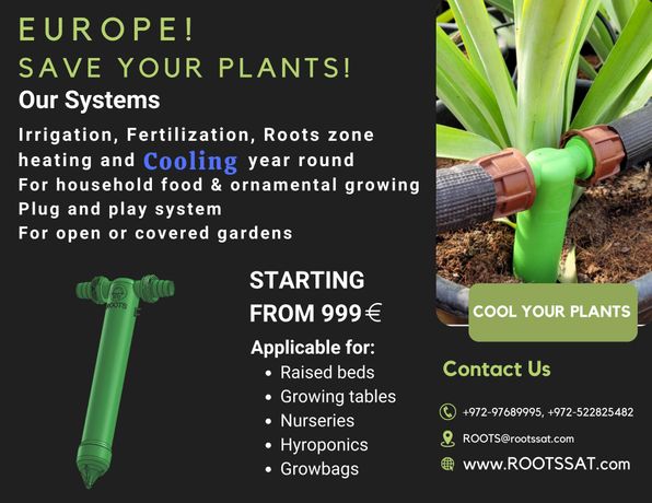 Roots - Mini Roots System