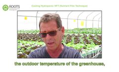 RZTO: Cooling Hydroponic NFT Farmer`s Testimonial - Video