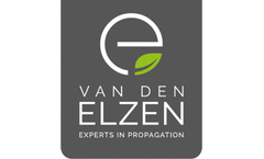 Van-Den-Elzen - Model B - Asparagus Plant