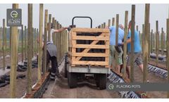 Van den Elzen Plants: Construction of our new raspberry field at Princepeel 2017 -  Video