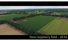 New raspberry and strawberry fields from Van den Elzen Plants in production! - Video