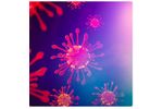 Clarigene - Model SARS-CoV-2 RUO - Acute Respiratory Syndrome Coronavirus 2
