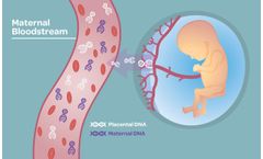 YourgeneHealth Sage - Non-invasive Prenatal Screen