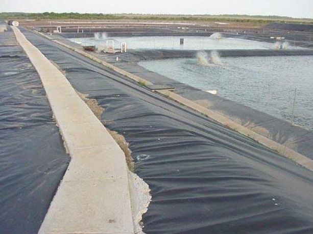 Geomembrane solutions for aquaculture pond liners sector - Agriculture - Aquaculture