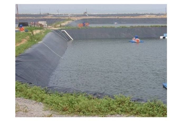 Geomembrane solutions for aquaculture pond liners sector - Agriculture - Aquaculture-1