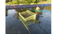Is The Anti-Seepage Geomembrane In Fish Ponds Harmful To Fish And Shrimp?