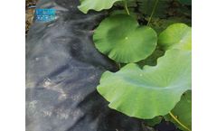 Lotus Root Pond Anti-seepage Geomembrane