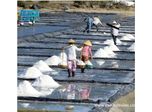 Why use Anti-seepage geomembrane in salt production?