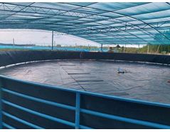 What is HDPE liner?