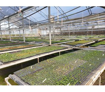 AGRIMAT - Magen's root zone heating system for greenhouses