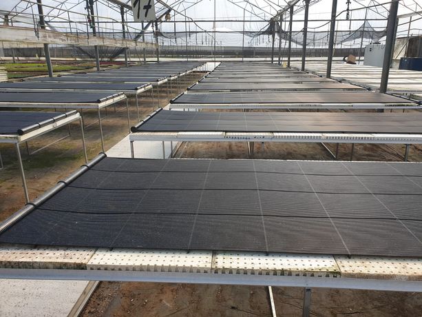 AGRIMAT - Magen's root zone heating system for greenhouses-1
