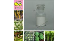 Cytokinin 6BA6-Benzylaminopurine Plant Growth Regulator Hormone 6-BA 98% TC