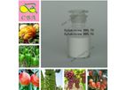 Advance Fertilizer 6-Furfurylaminopurine Cytokinin Kinetin 98%TC 6KT