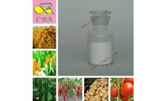 Natural Plant Hormones S-Abscisic Acid S-ABA 98%TC,95%TC, 10%SP