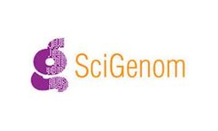 SciGenom - Model Anti-CD133 - Anti CD133 Monoclonal Antibody