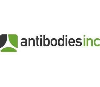Polyclonal Antibody Development Services