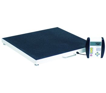 Model 6800 - Bariatric Scales