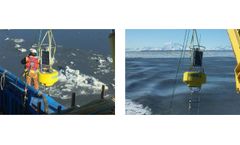 Aridea Uses Buoy-Based Monitoring with the Aqua TROLL 600 in Critical Whale Habitat