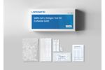 SARS-CoV-2 Antigen Test Kit