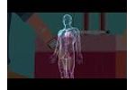 Animation HELTSCHL Haemo-Laser Therapy engl. - Video