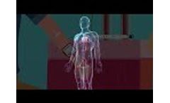 Animation HELTSCHL Haemo-Laser Therapy engl. - Video