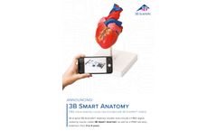 3B Smart Anatomy Flyer