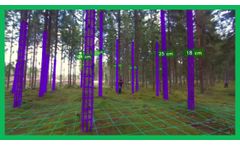 Forest Measurement by Autonomous Drone - Video