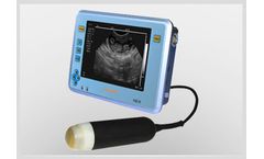 Caresono SonoPalm - Model HD 6Vet - Veterinary Ultrasound System