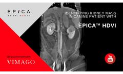 Identifying Kidney Mass in Canine patient with Epica HDVI - Video
