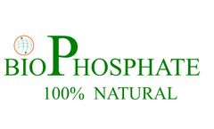 Phosphorus recovery