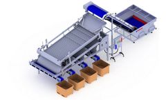 Peruza - Pelagic Fish Roller Grading Line Machine