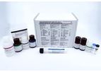Maxim - Model 98078 - Cambridge Biotech HIV-1 Urine Western Blot Kit